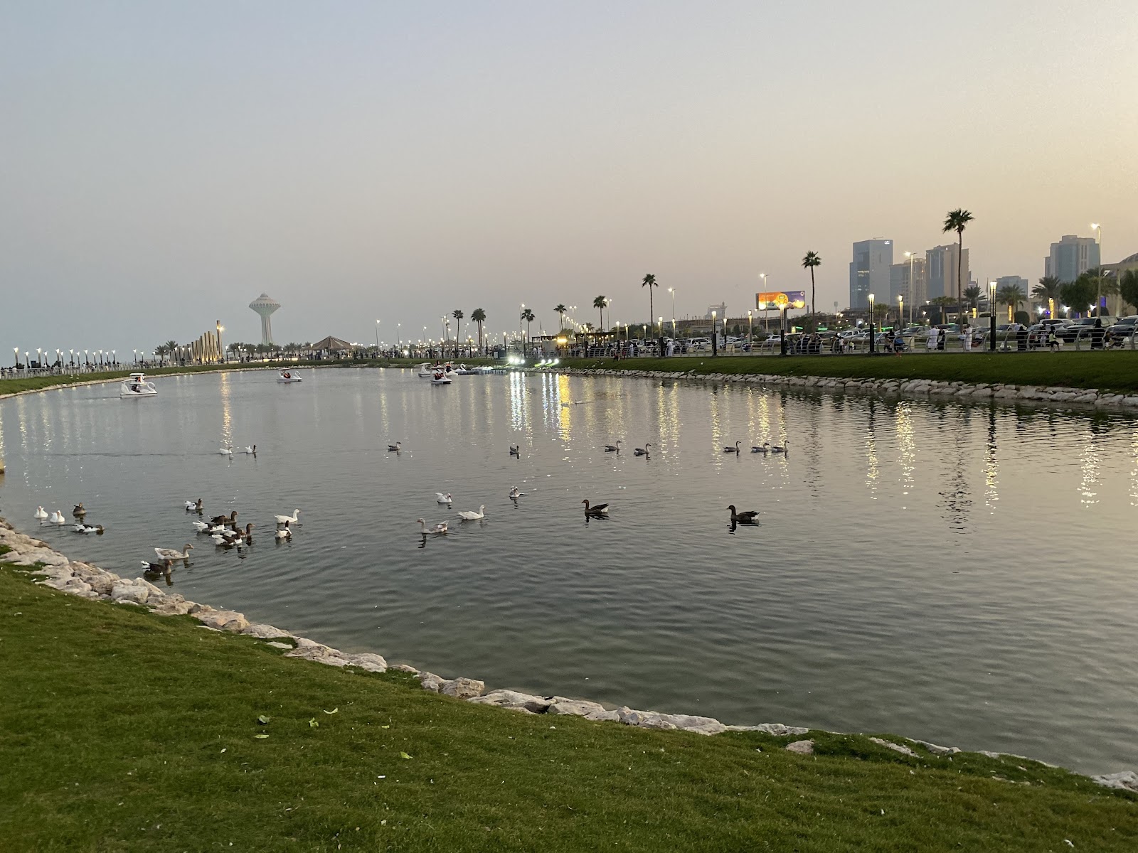 بحيرة البط